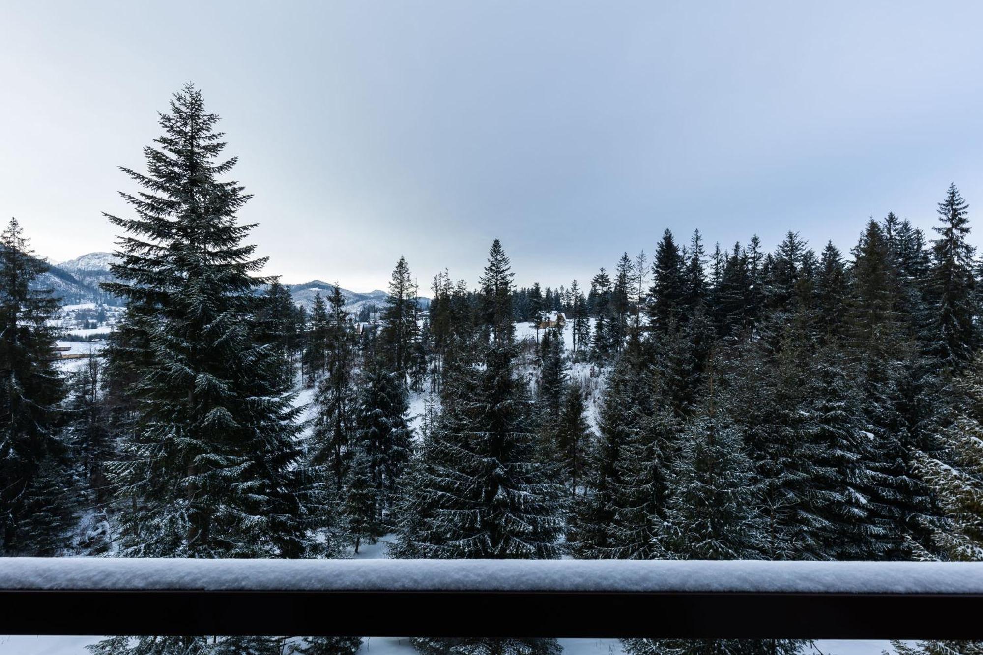 Apartamenty Smrek Zakopane Koscielisko Bilik gambar