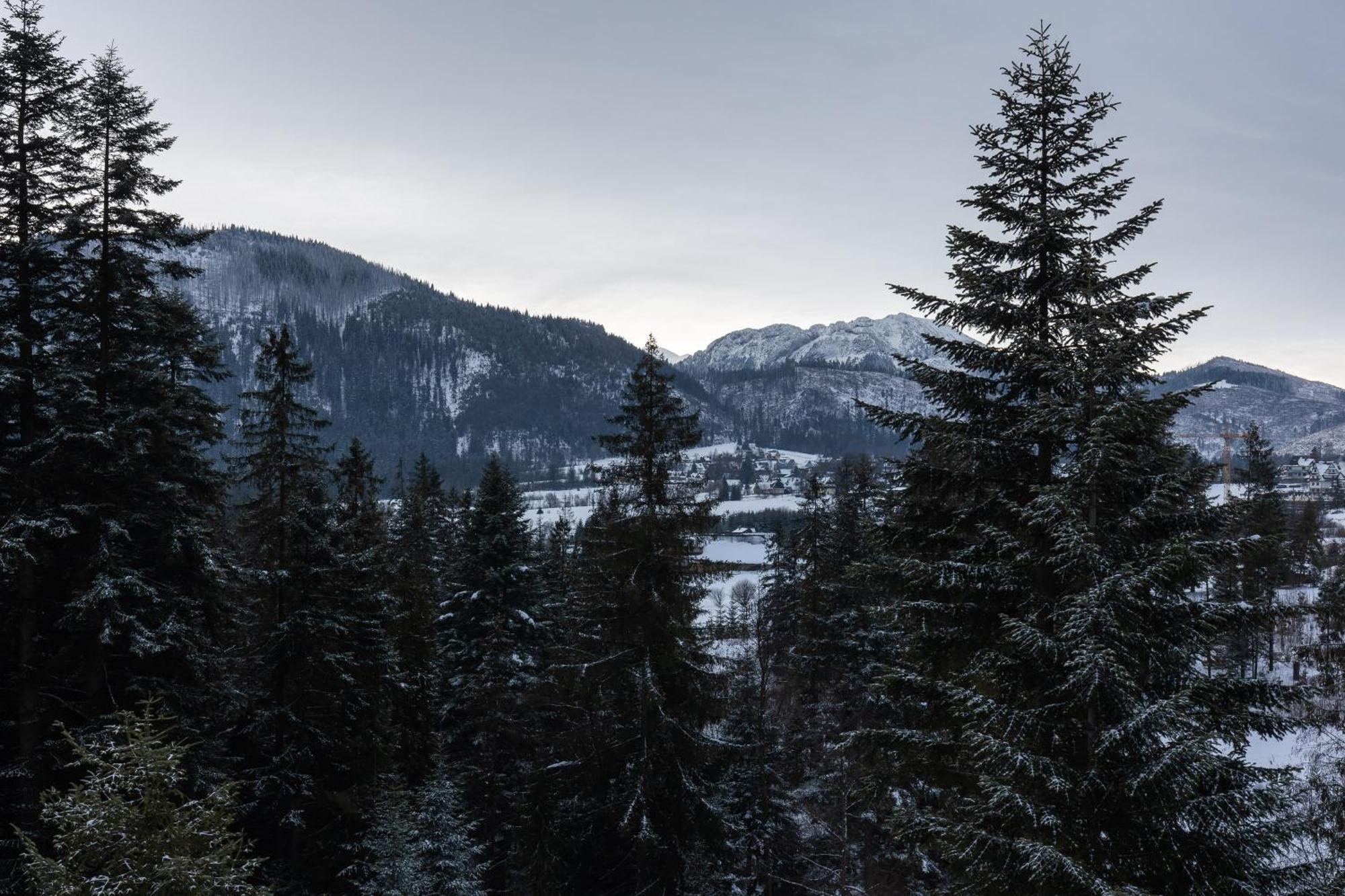 Apartamenty Smrek Zakopane Koscielisko Bilik gambar